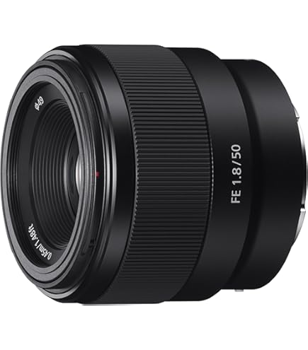 Tamron 18-200 mm VC Di III for Sony NEX - Black : Buy Online at